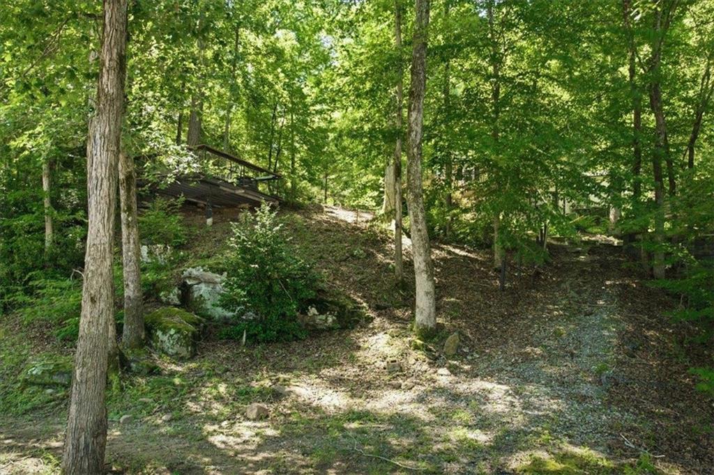 21 River Road Woodland, GA 31836 - Photo 44 of 63