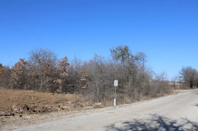a view of a dry yard with trees