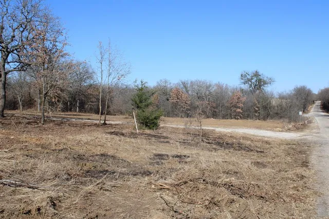 a view of outdoor space with green field and trees