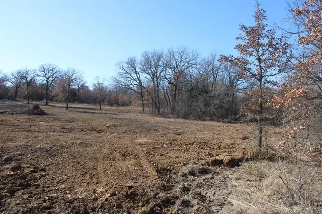 a view of dirt yard with large trees