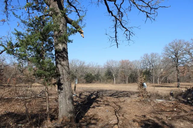 a view of a yard with a tree