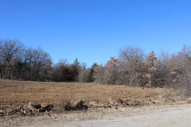 a view of a dry yard with trees in the background