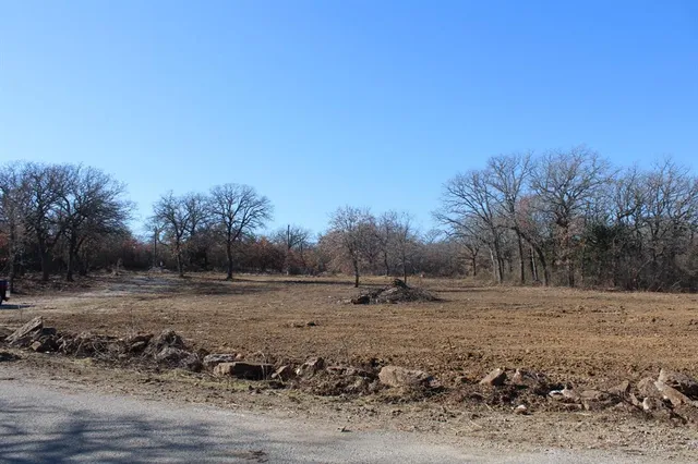 a view of dirt field with large trees