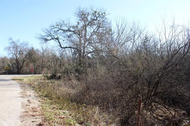 a view of a yard with trees