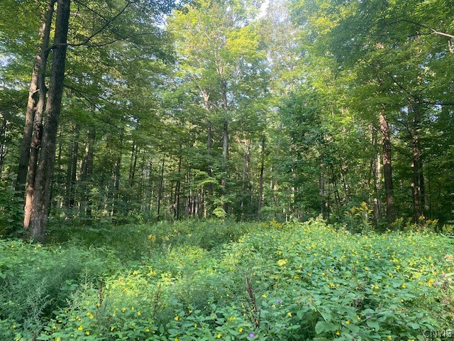 0 Buyea Road Canastota, NY 13032 - Photo 1 of 4 Gallery Image 1