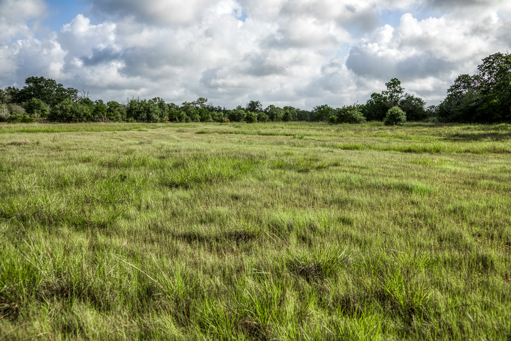 4 South Nassau Road Round Top, TX 78954 - Photo 17 of 23 a view of a green field with wooden fence