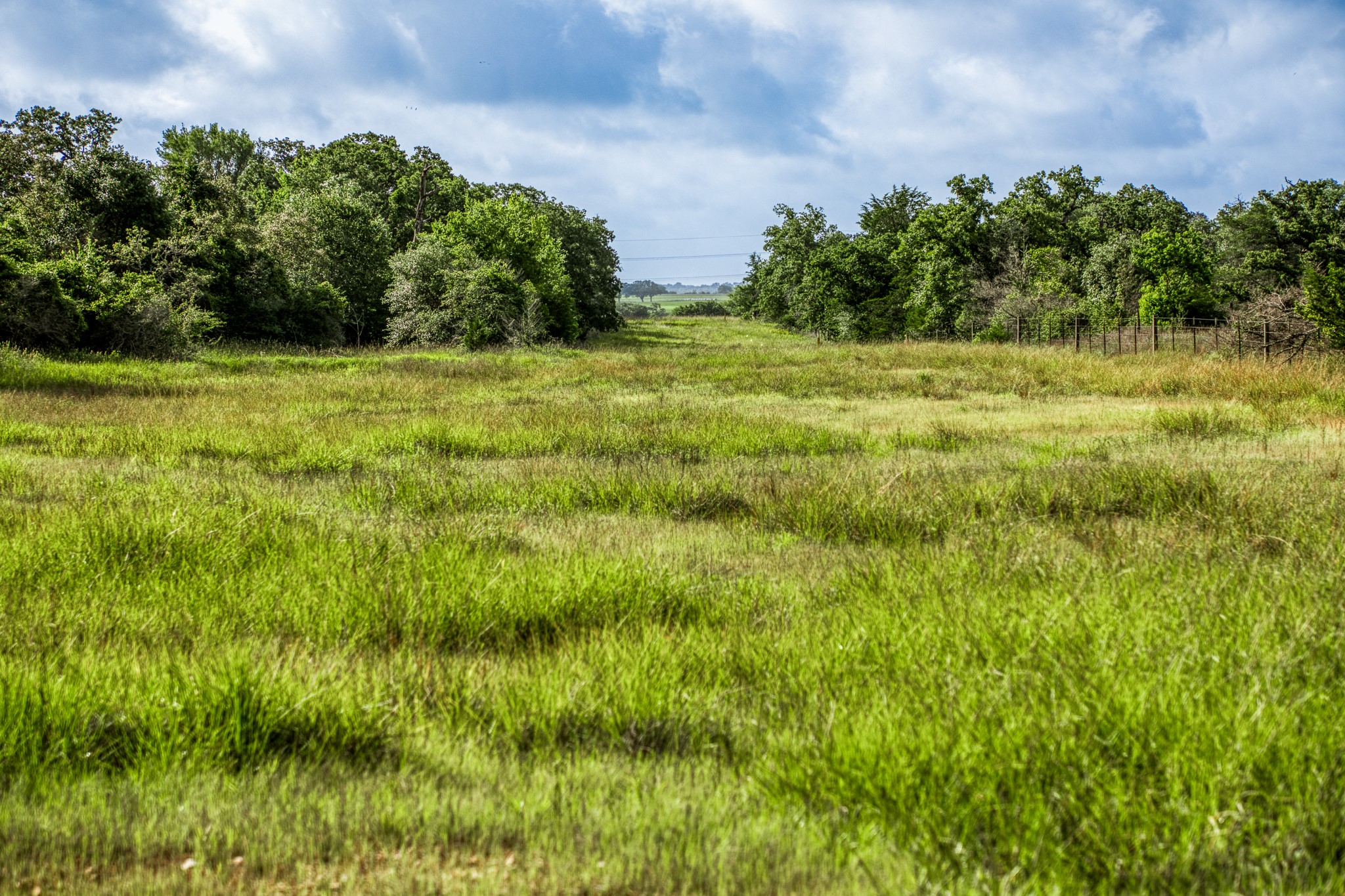 4 South Nassau Road Round Top, TX 78954 - Photo 18 of 23 a view of a garden