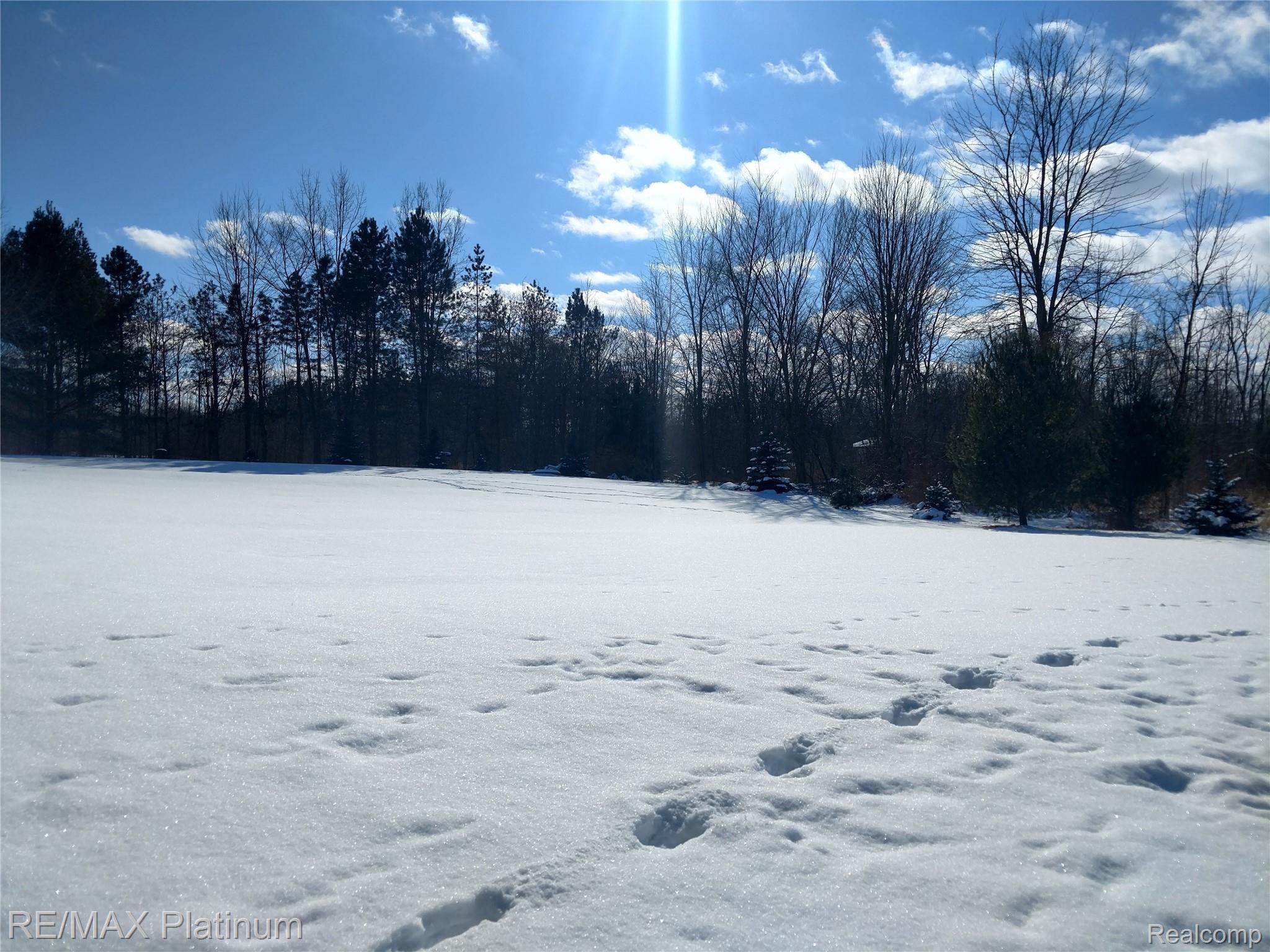 8455 Lamoreaux Road Fowlerville, MI 48836 - Photo 22 of 35 Yard Snow.jpg