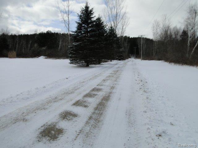 5845 Fostoria Road Columbiaville, MI 48421 - Photo 43 of 44 View from Road
