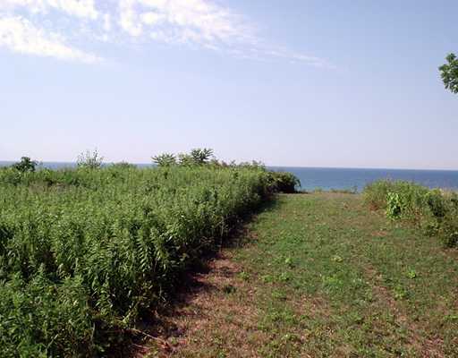 Land/Lot.