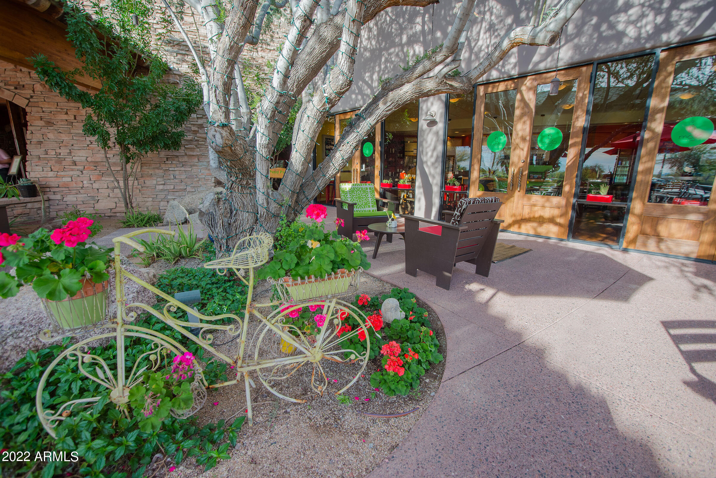 8247 East Mountain Spring Road Scottsdale, AZ 85255 - Photo 36 of 42 Mojo coffee
