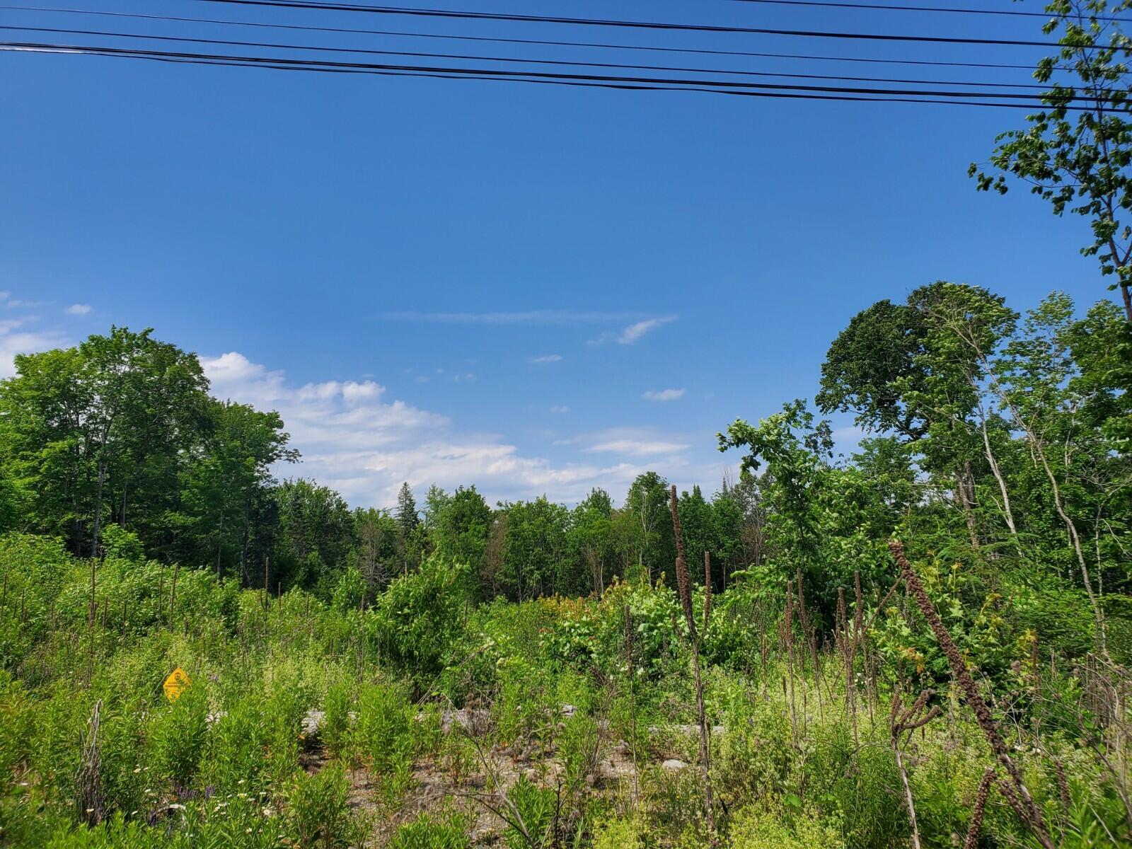 33 Estabrook Road Amity, ME 04471 - Photo 3 of 7 20220701_141807