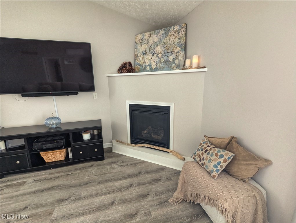 37625 Sandy Ridge Drive North Ridgeville, OH 44039 - Photo 7 of 44 Living room featuring a textured ceiling, hardwood / wood-style floors, and vaulted ceiling