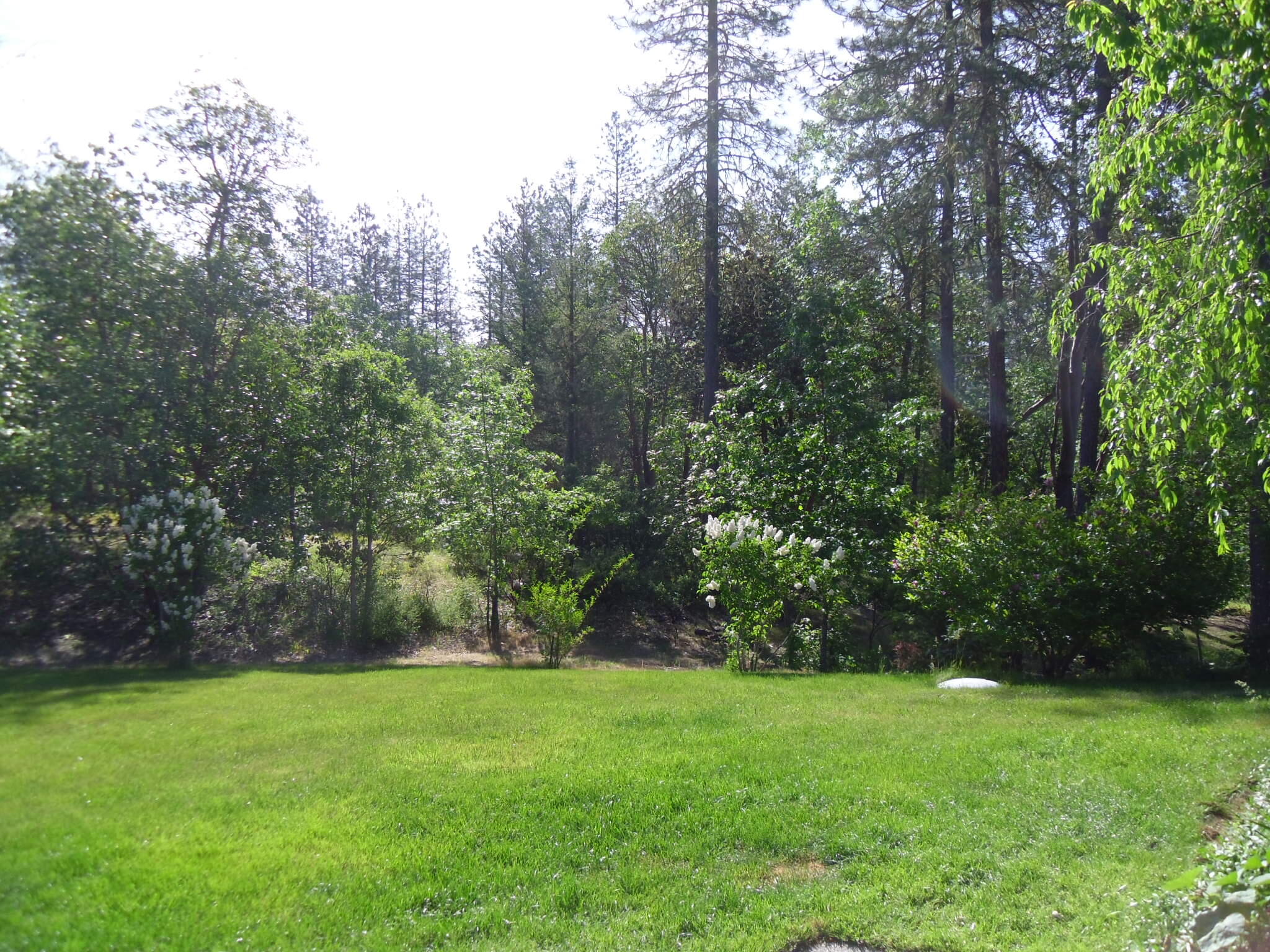 9701 Lower River Road Grants Pass, OR 97526 - Photo 54 of 56 SAM_0331 (1)