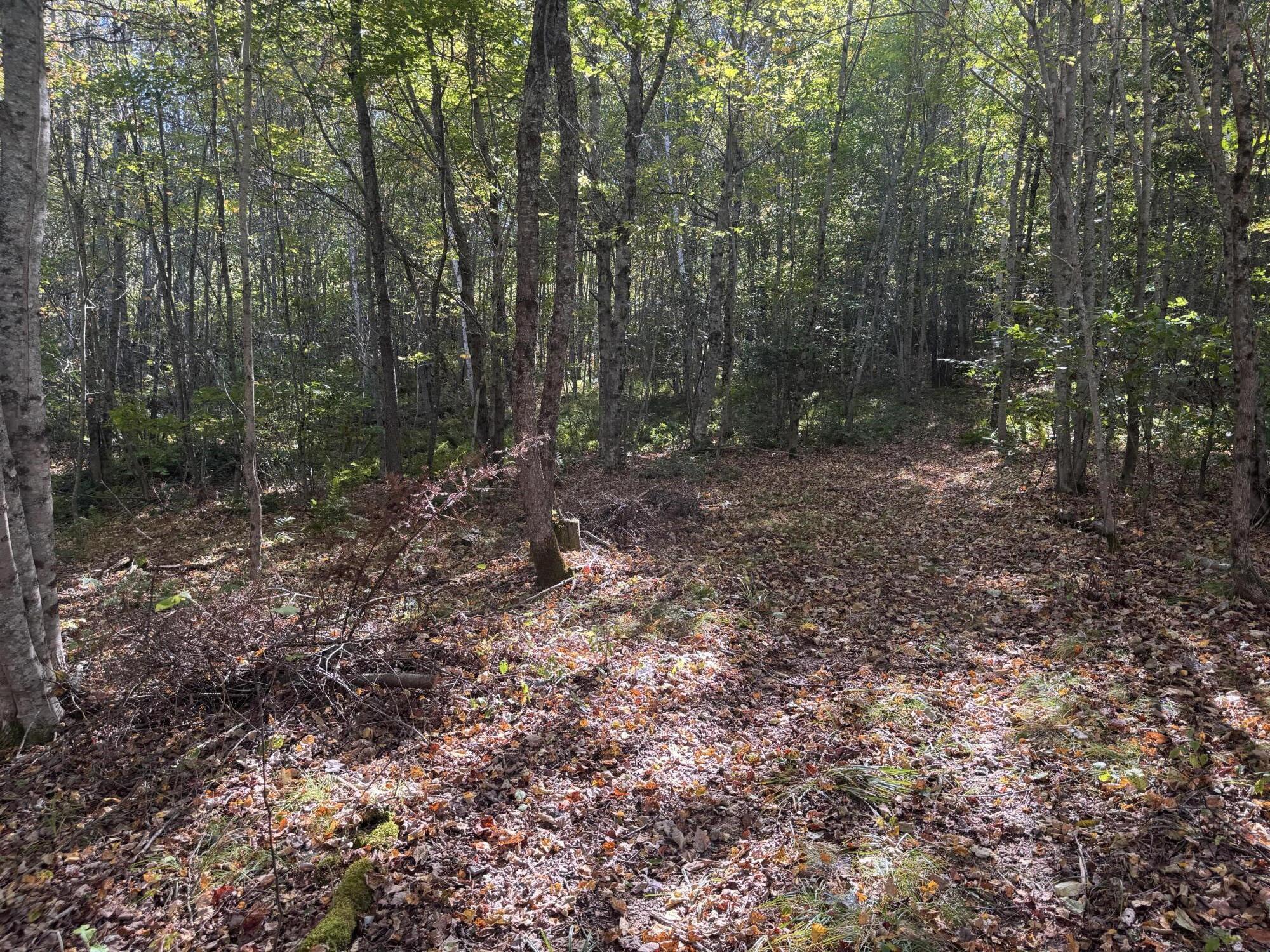 Lot 19-1 Green Valley Road Stockton Springs, ME 04981 - Photo 4 of 10 20250922_185657697_iOS