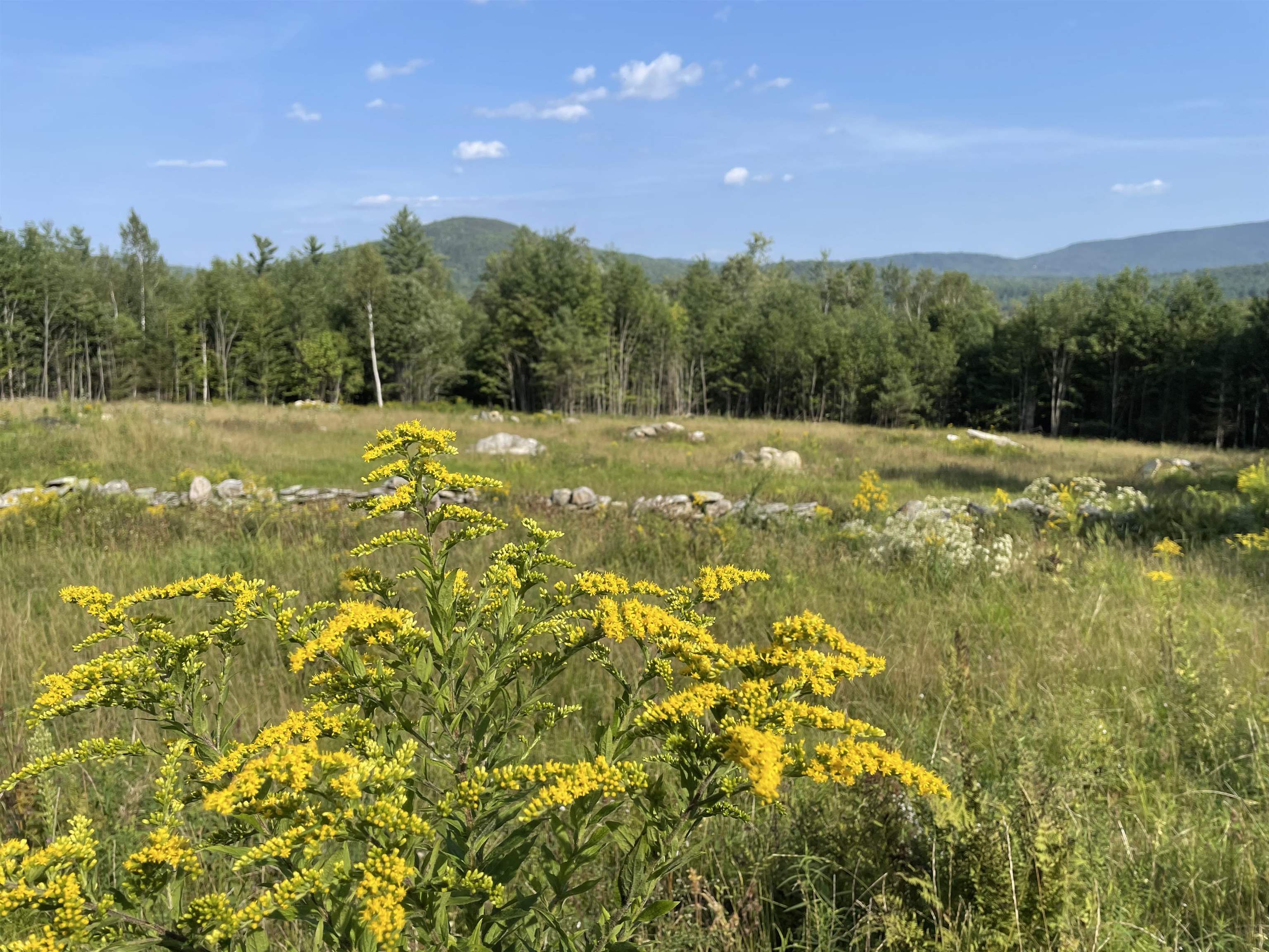 30 Hobart Road Londonderry, VT 05148 - Photo 2 of 27