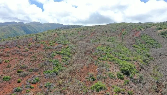 $395,000 | 0 Wailau Valley Road, Unit LOTS 3 AND 4, Kaunakakai, HI 96748