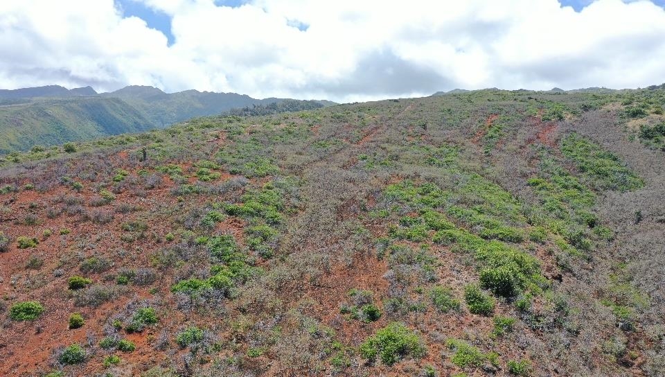 0 Wailau Valley Road, Unit LOTS 3 AND 4 Kaunakakai, HI 96748 - Photo 11 of 17