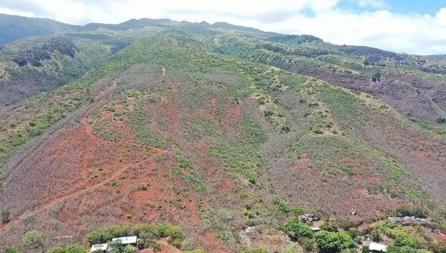 $395,000 | 0 Wailau Valley Road, Unit LOTS 3 AND 4, Kaunakakai, HI 96748