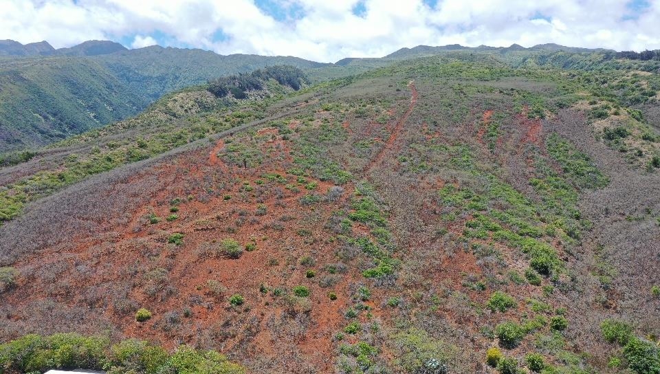 0 Wailau Valley Road, Unit LOTS 3 AND 4 Kaunakakai, HI 96748 - Photo 14 of 17