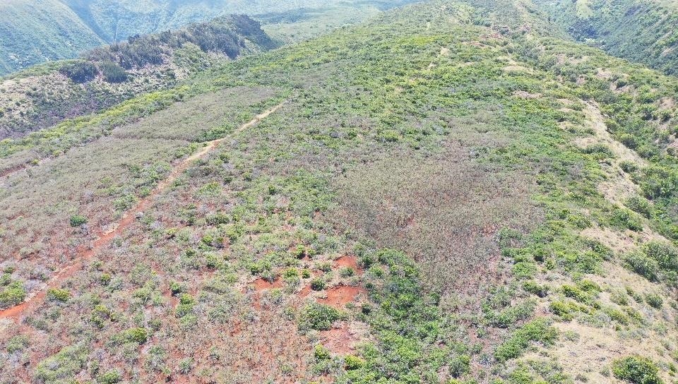 0 Wailau Valley Road, Unit LOTS 3 AND 4 Kaunakakai, HI 96748 - Photo 16 of 17