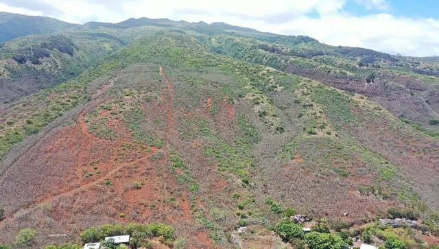 $395,000 | 0 Wailau Valley Road, Unit LOTS 3 AND 4, Kaunakakai, HI 96748