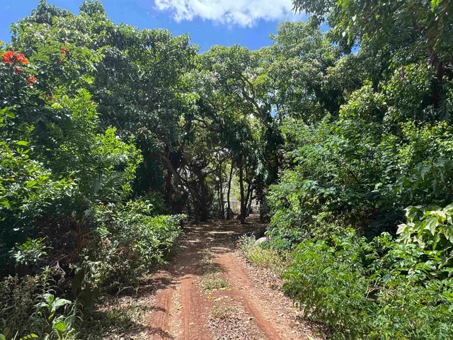 $395,000 | 0 Wailau Valley Road, Unit LOTS 3 AND 4, Kaunakakai, HI 96748