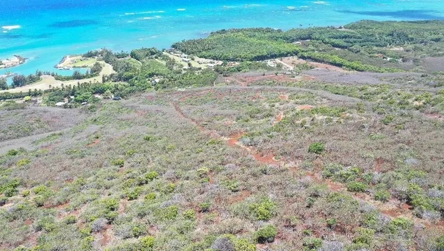 $395,000 | 0 Wailau Valley Road, Unit LOTS 3 AND 4, Kaunakakai, HI 96748