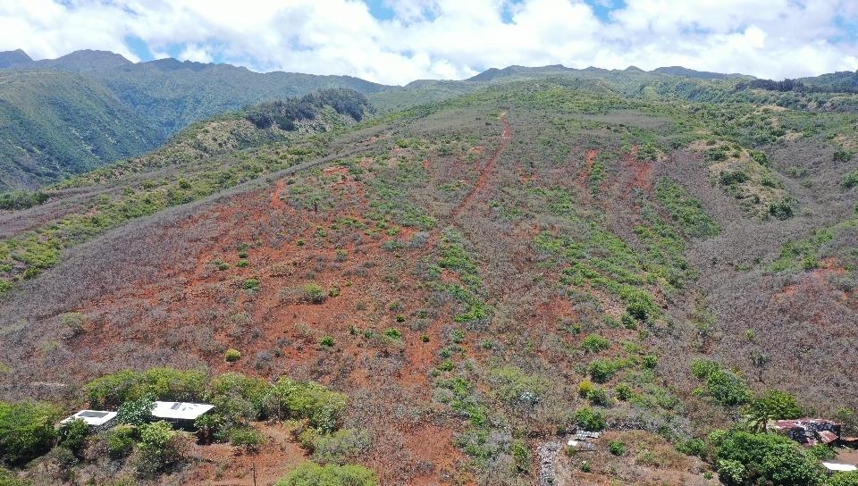 0 Wailau Valley Road, Unit LOTS 3 AND 4 Kaunakakai, HI 96748 - Photo 10 of 17