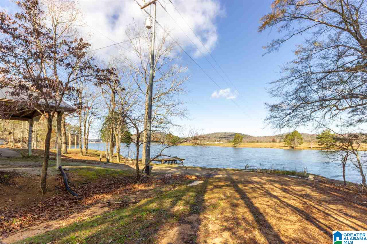 333 Riverview Lane Ohatchee, AL 36271 - Photo 36 of 50