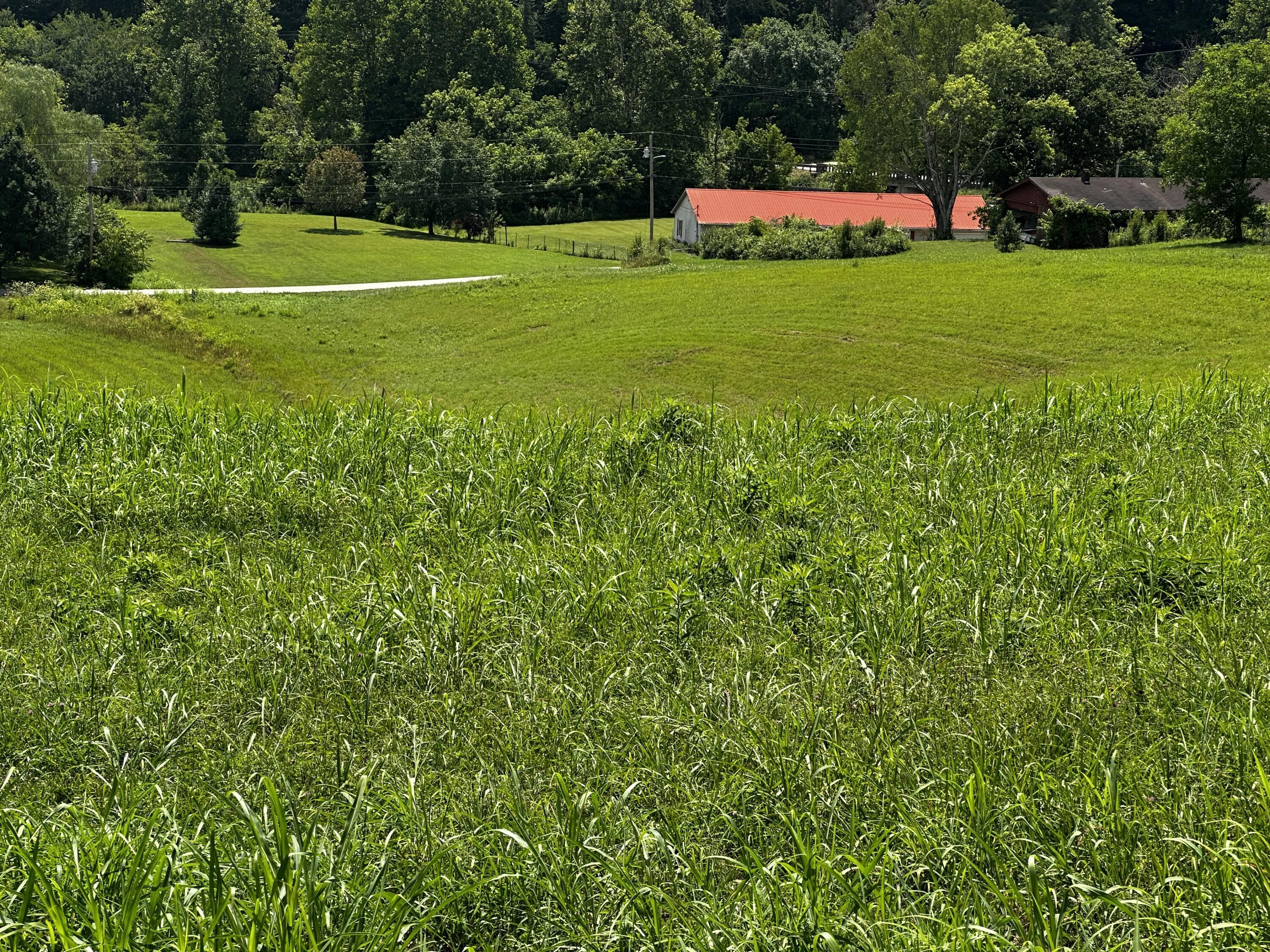 99999 Valentine Branch Road Cannon, KY 40923 - Photo 18 of 18 20250826154551108025000000-o