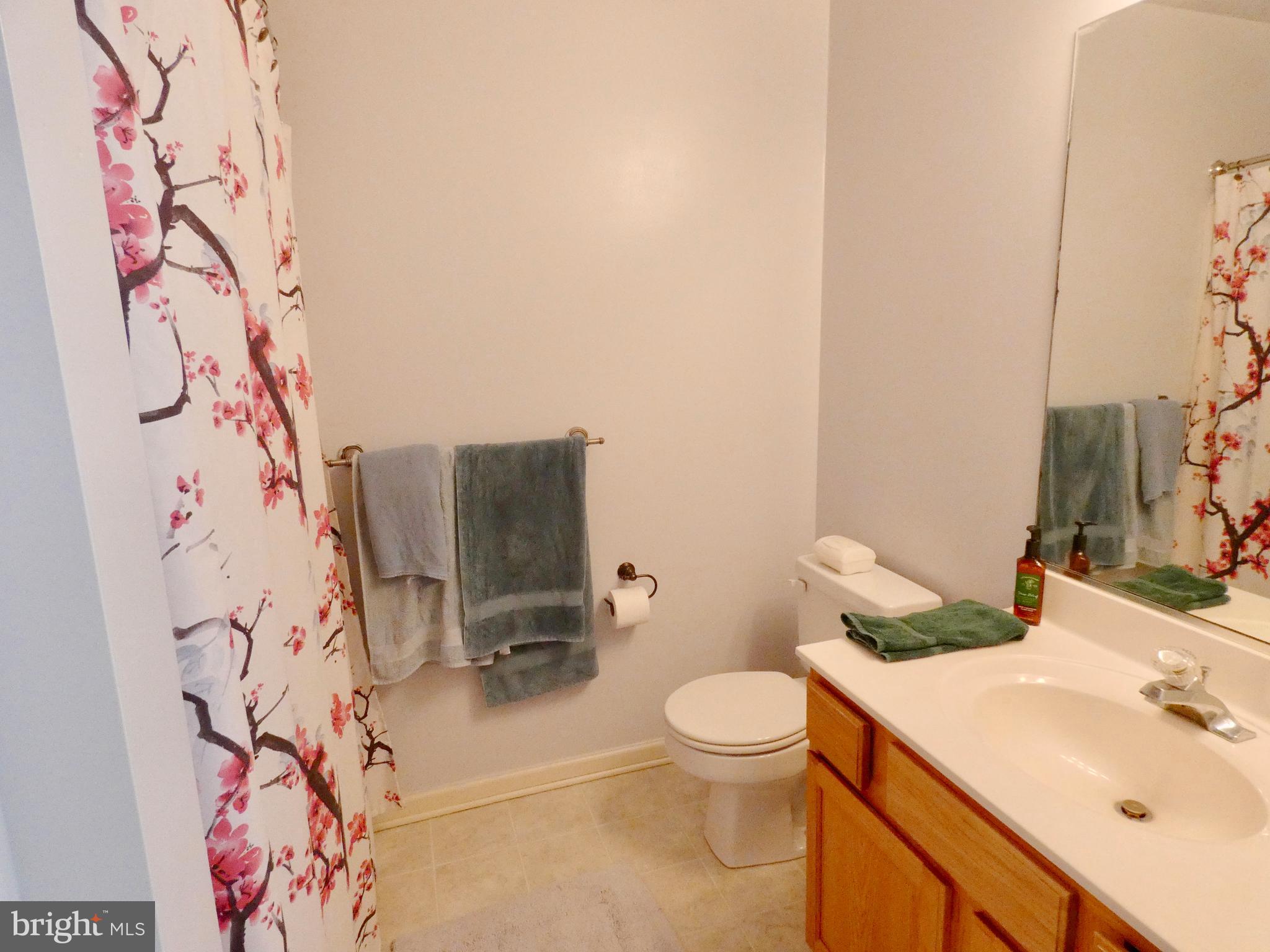 744 Murphy Road Centreville, MD 21617 - Photo 21 of 30 Bath (Master)