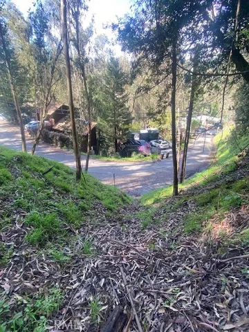 a view of yard with tree s