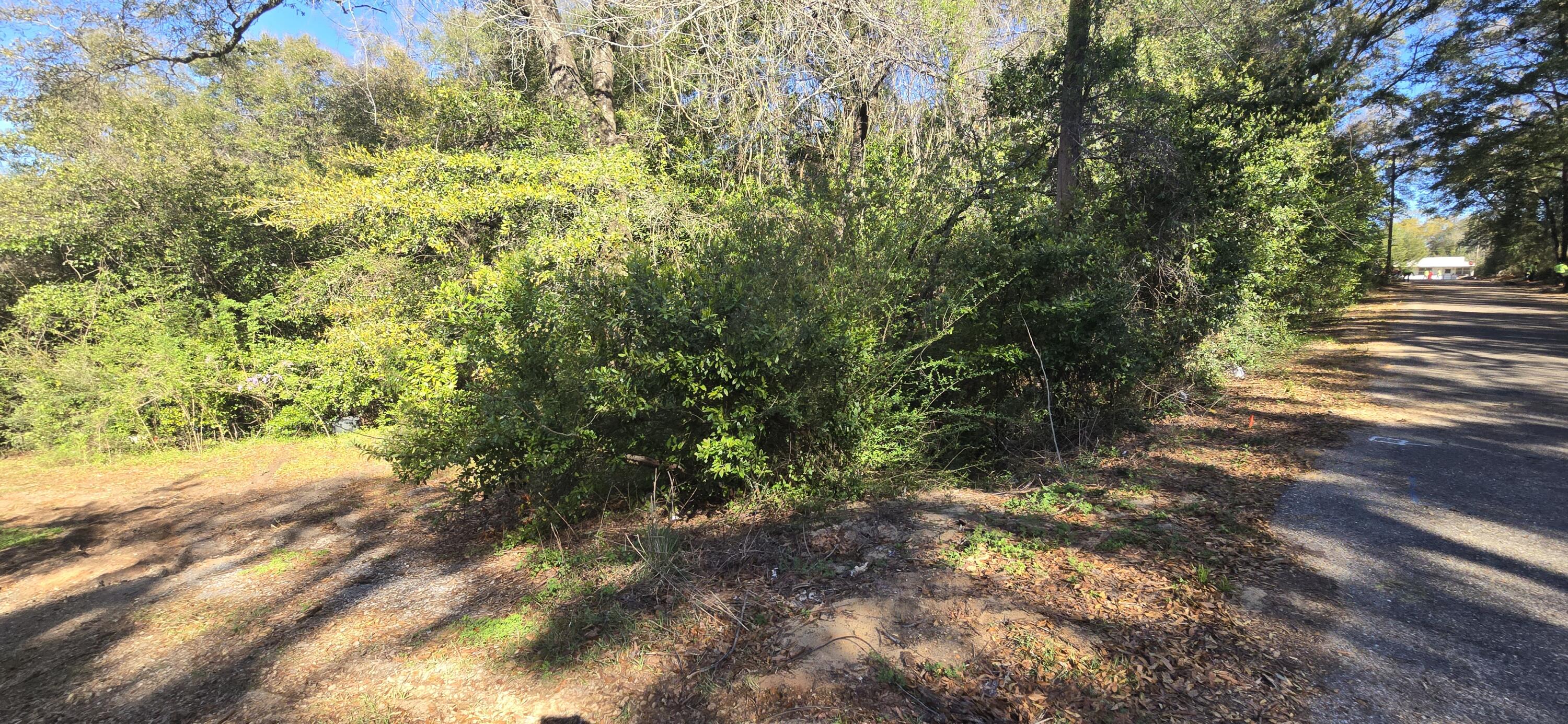 292 Ratliff Street Crestview, FL 32536 - Photo 8 of 10 20250319_093406