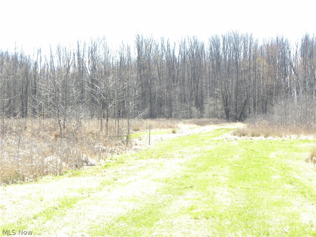 5626 Kennard Road Seville, OH 44273 - Photo 4 of 9 Gallery Image 4