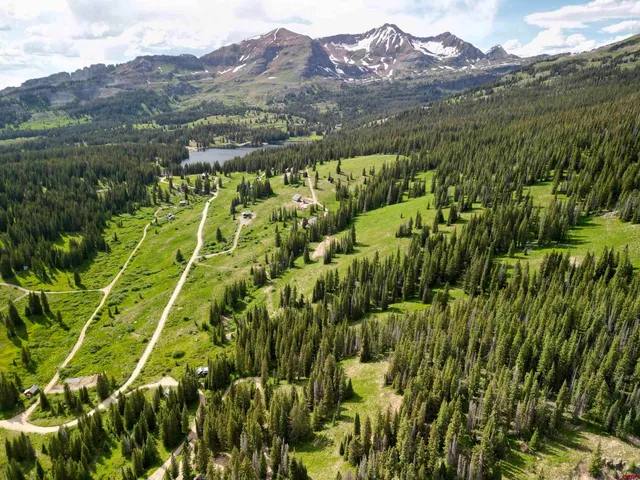 a view of a lush green hillside and a houses