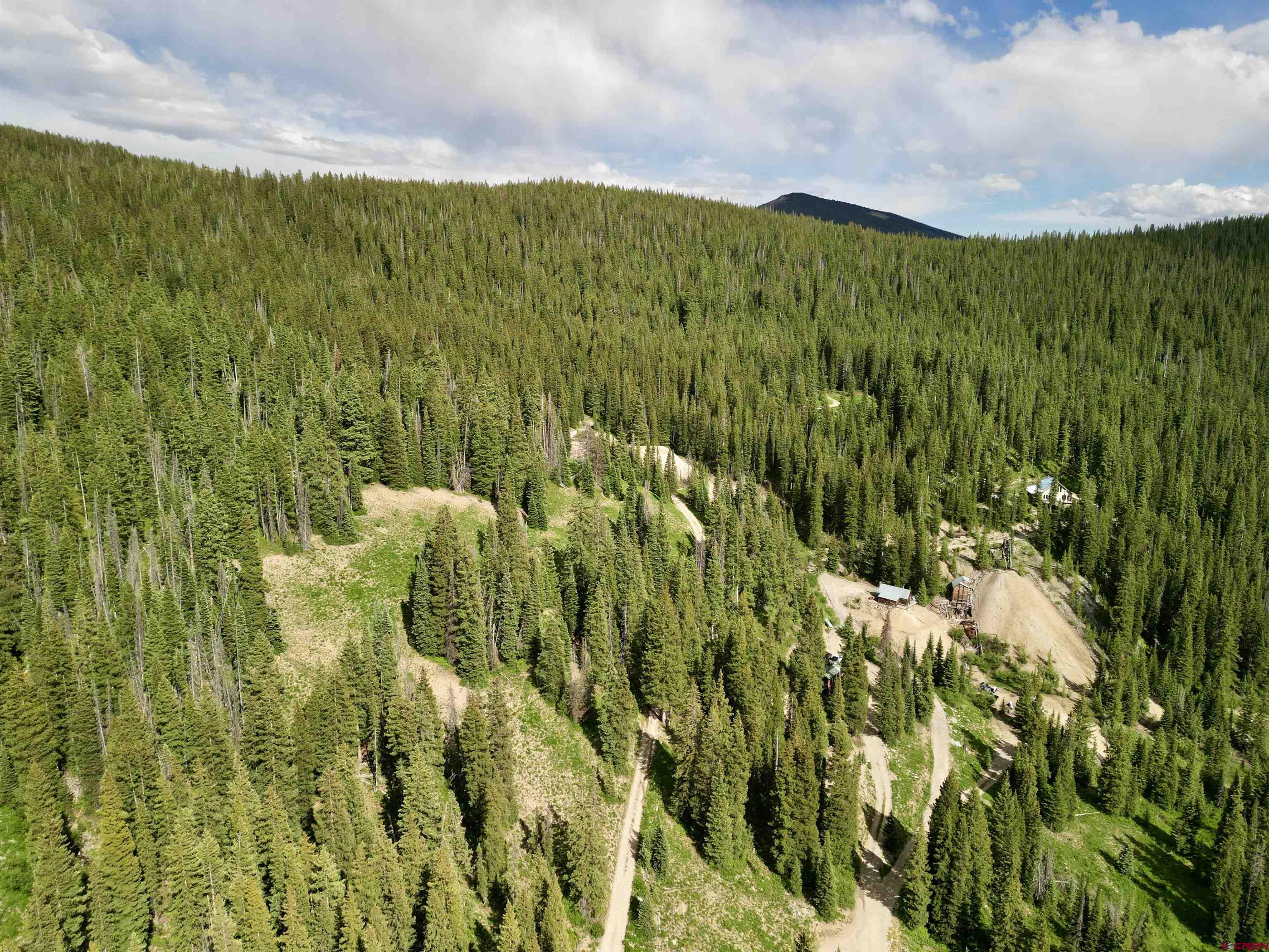 Tbd Tbd Copley Lake Road Crested Butte, CO 81224 - Photo 13 of 28 a view of a green field with lots of bushes