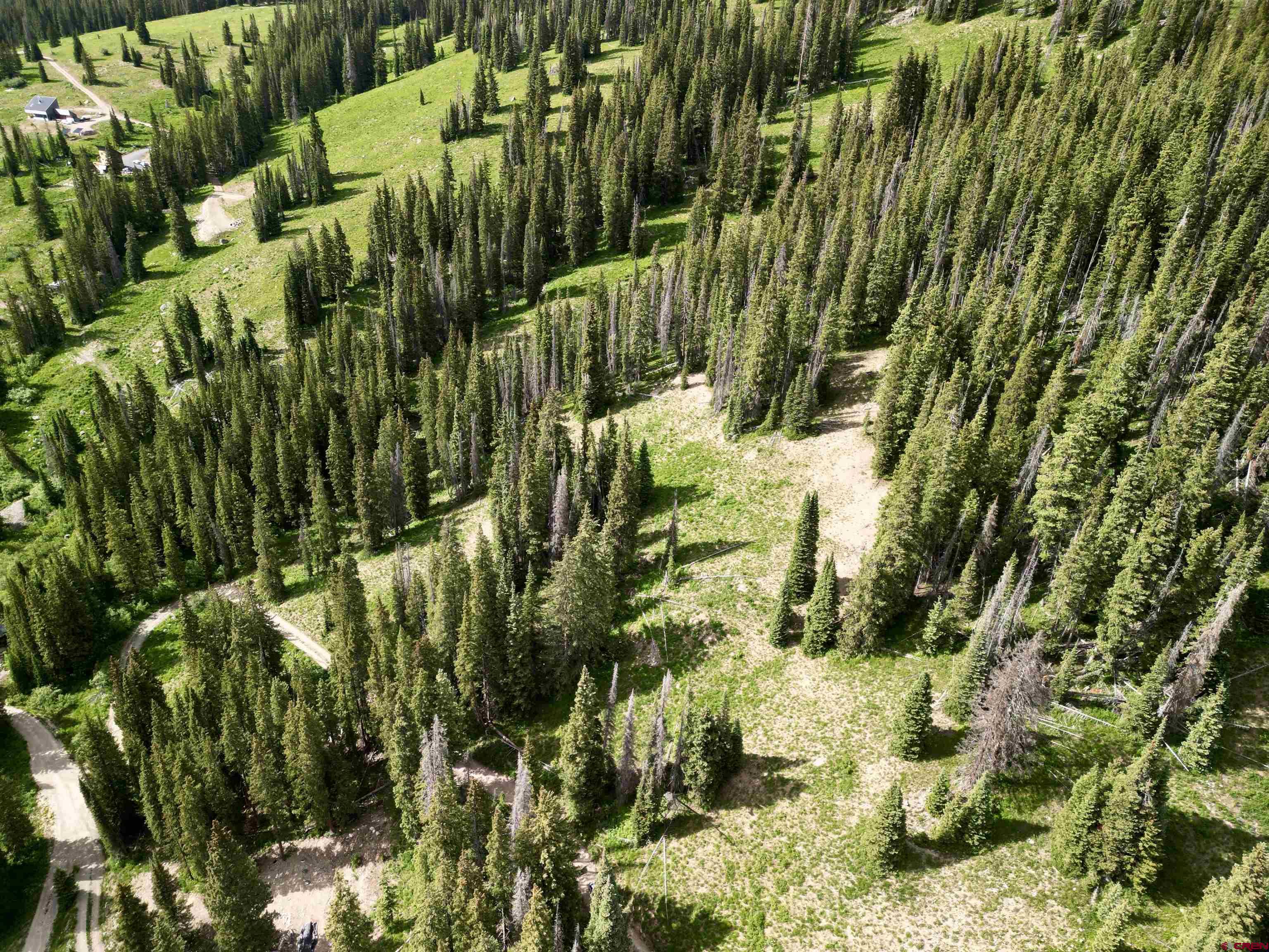 Tbd Tbd Copley Lake Road Crested Butte, CO 81224 - Photo 18 of 28 a view of a garden