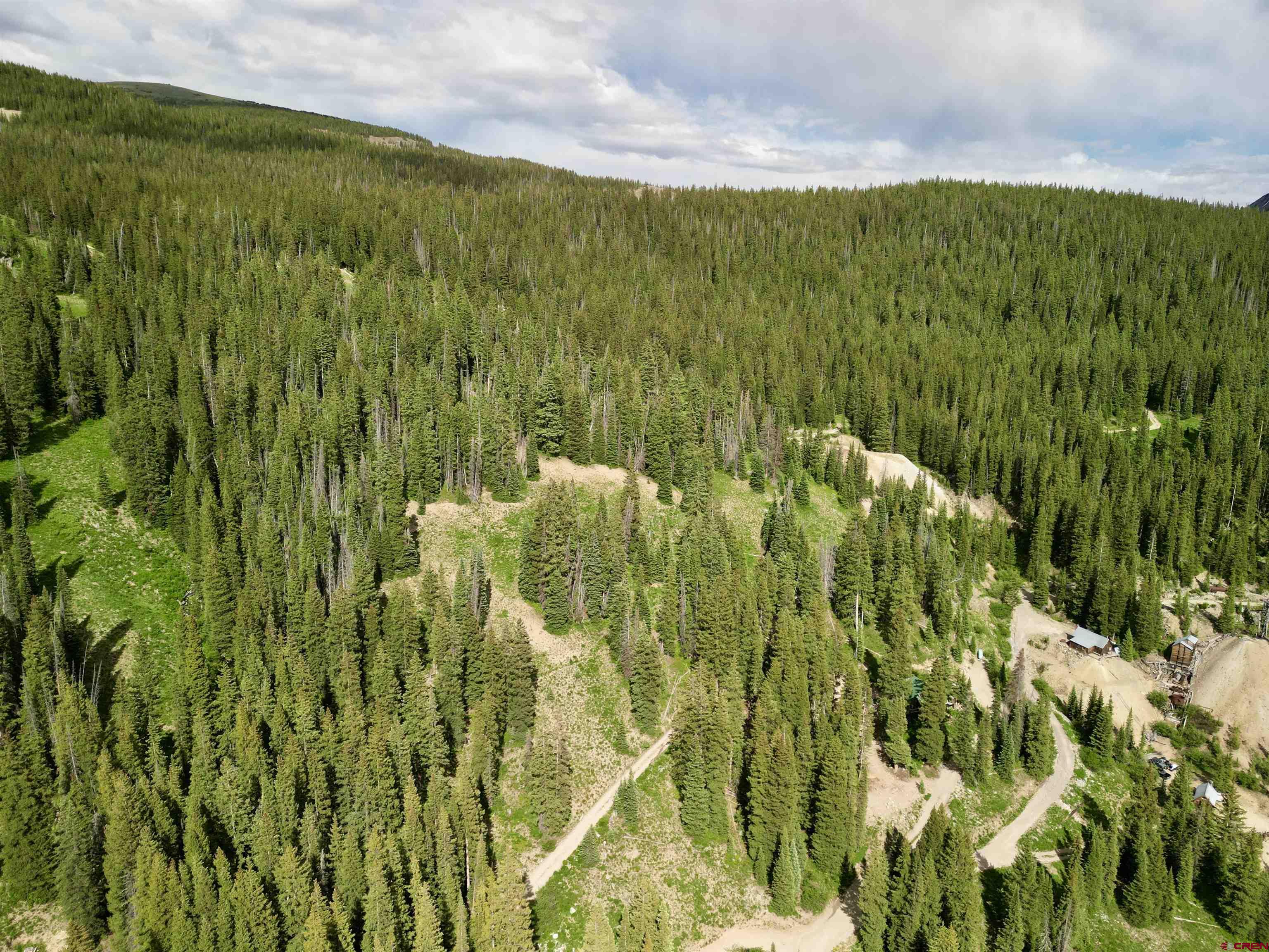 Tbd Tbd Copley Lake Road Crested Butte, CO 81224 - Photo 24 of 28 a view of a yard with plants and large trees