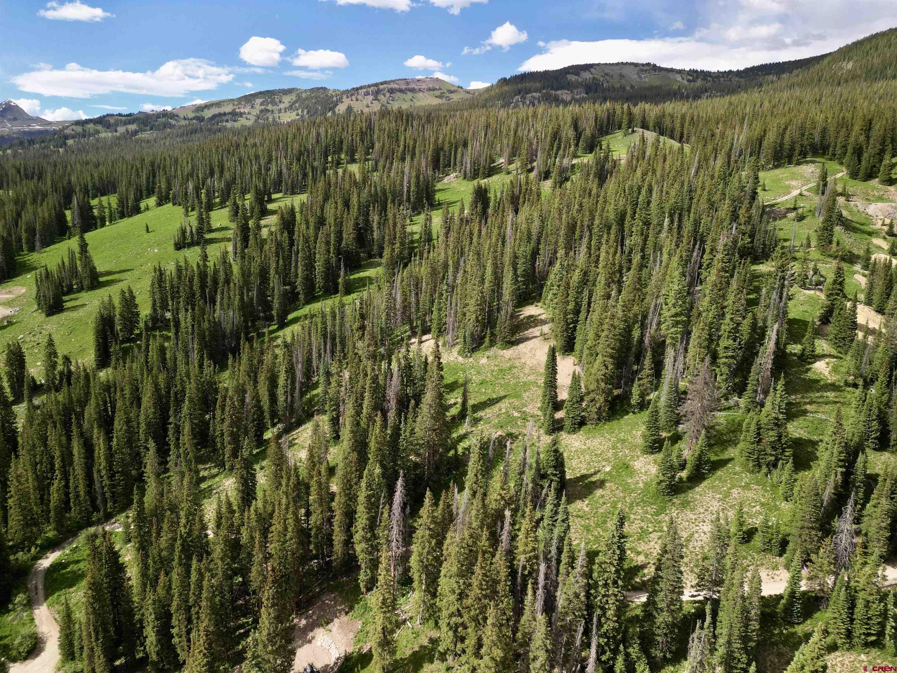 Tbd Tbd Copley Lake Road Crested Butte, CO 81224 - Photo 27 of 28