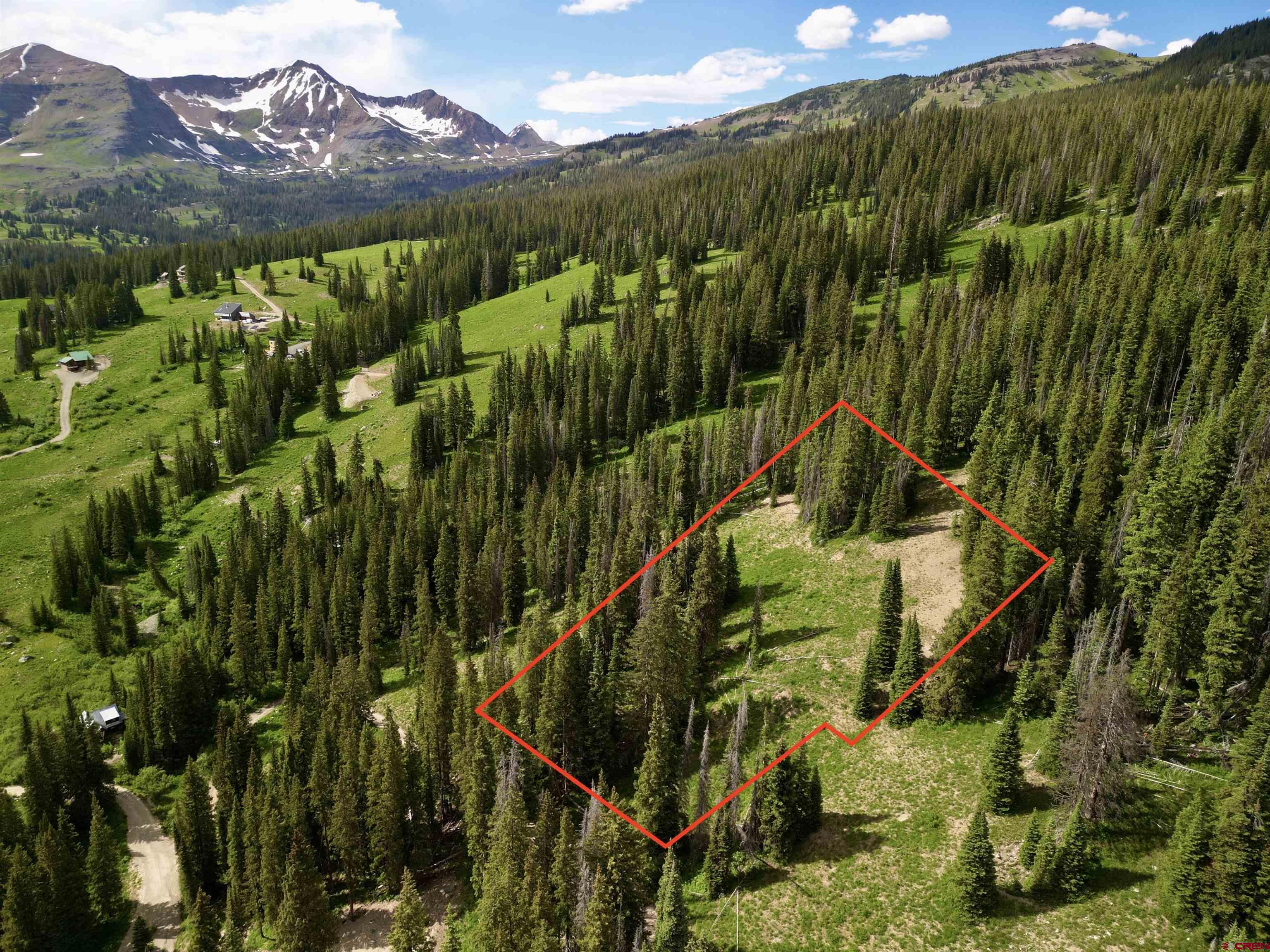 Tbd Tbd Copley Lake Road Crested Butte, CO 81224 - Photo 3 of 28 a view of a yard with plants