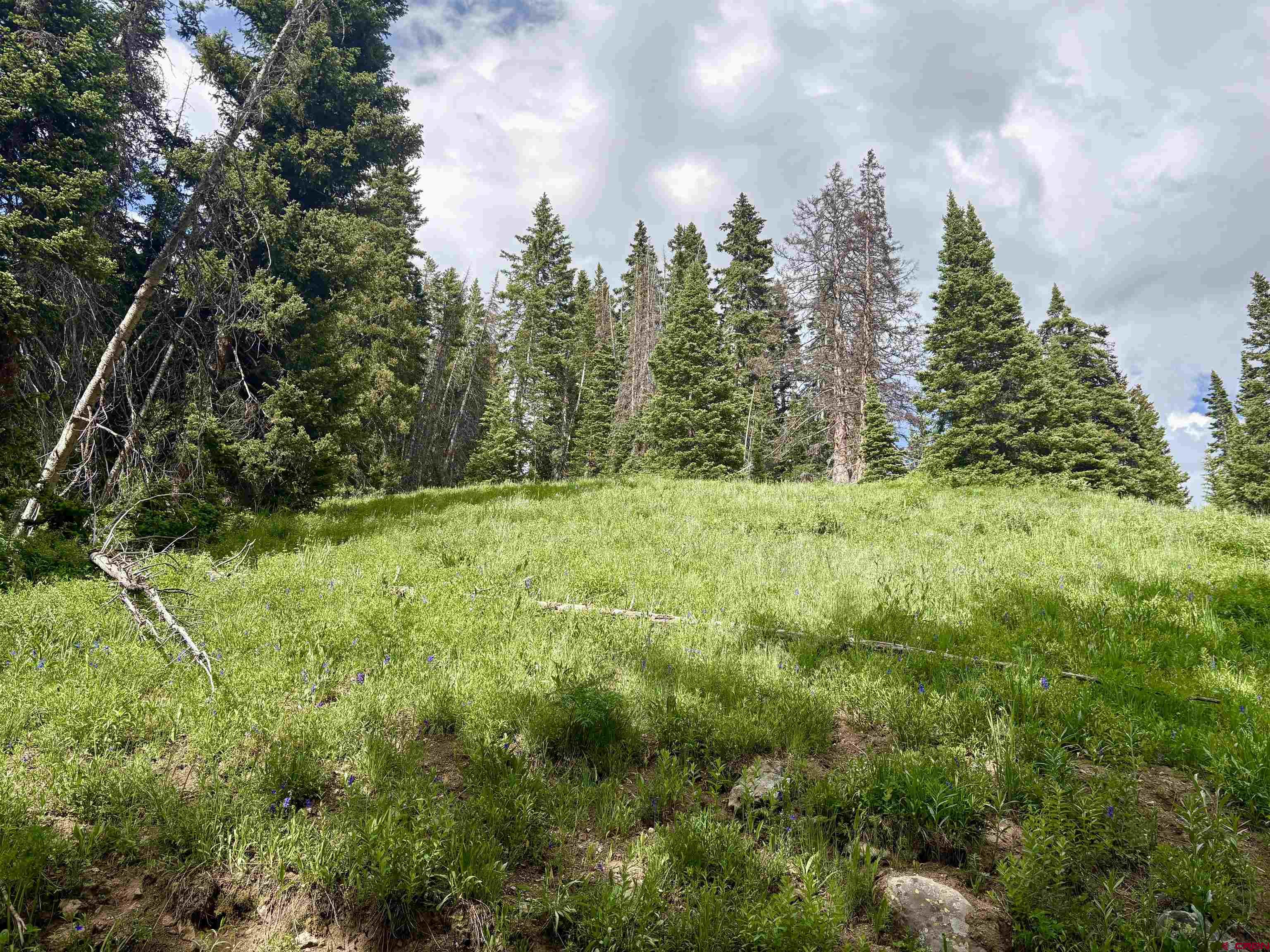 Tbd Tbd Copley Lake Road Crested Butte, CO 81224 - Photo 7 of 28 a view of an outdoor space and a yard