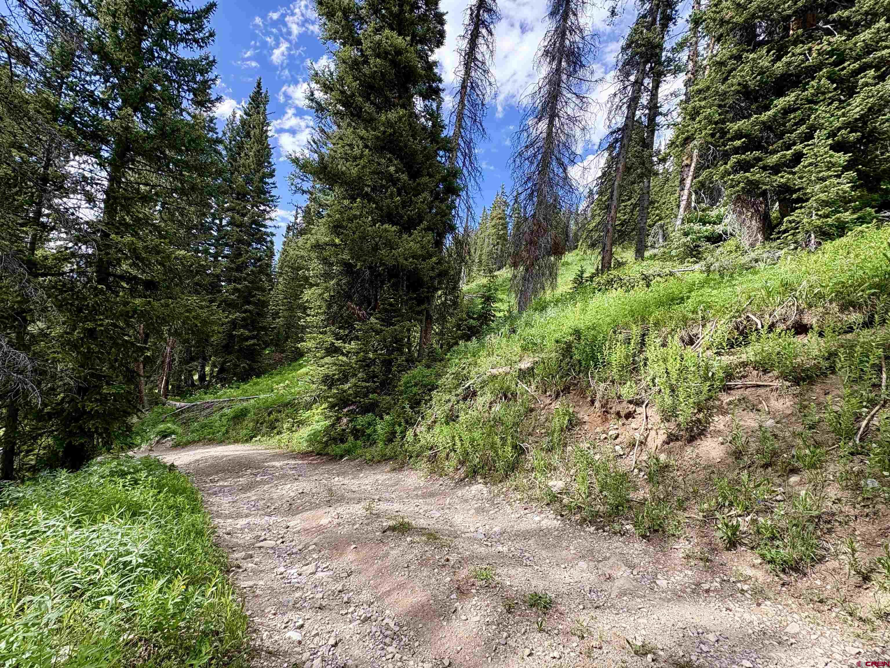 Tbd Tbd Copley Lake Road Crested Butte, CO 81224 - Photo 8 of 28 a view of a yard with plants and large trees