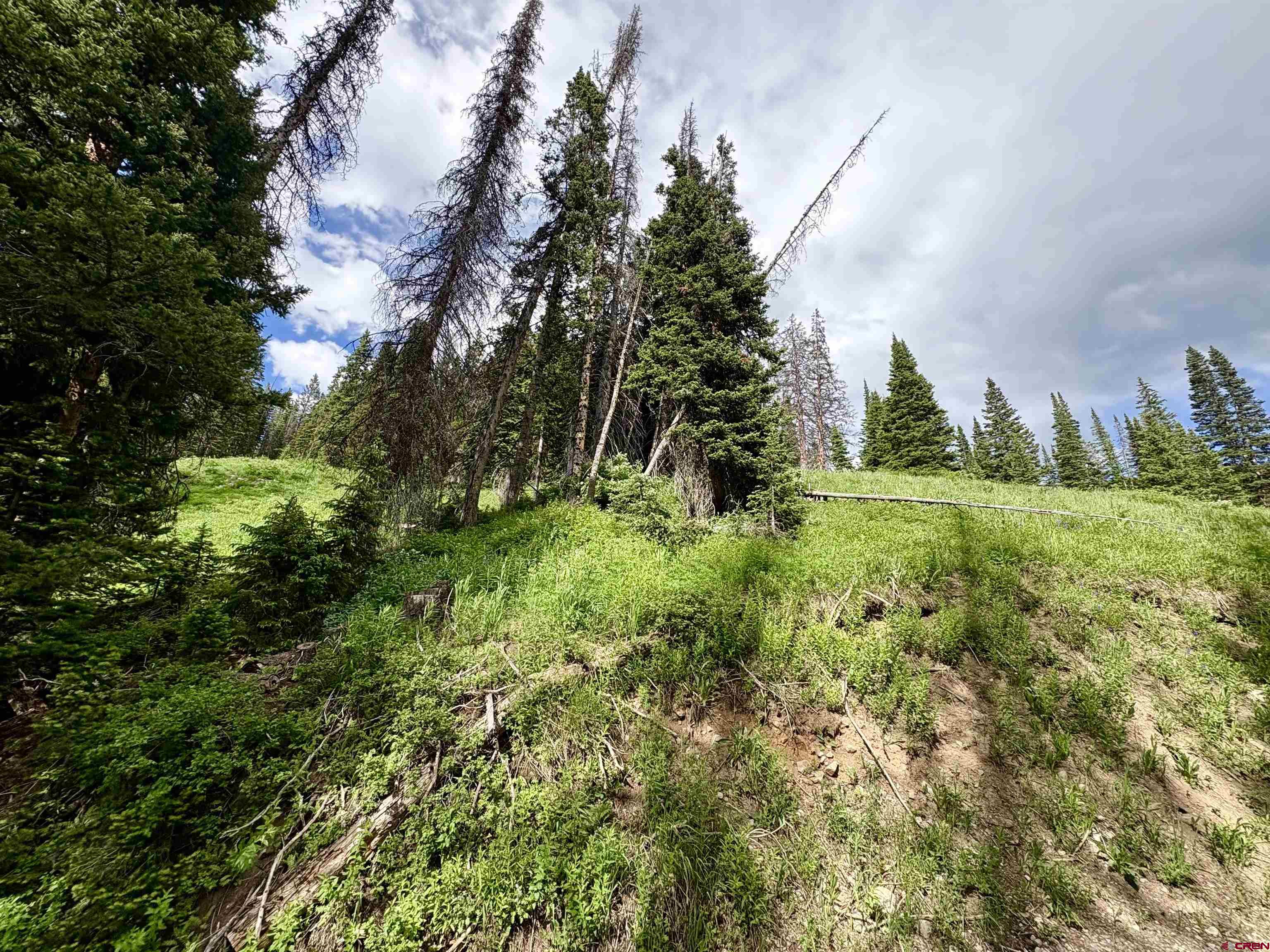 Tbd Tbd Copley Lake Road Crested Butte, CO 81224 - Photo 10 of 28 a view of a lush green space