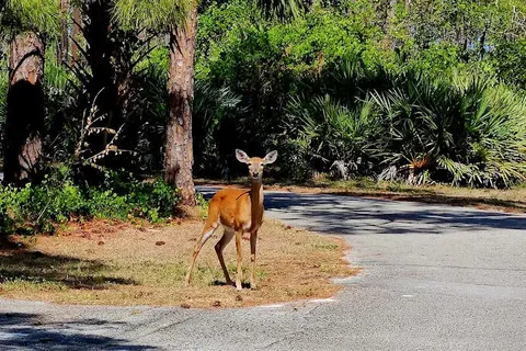 $800,000 | 13170 Southeast Flamingo Drive, Hobe Sound, FL 33455