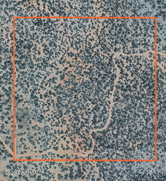 Satellite View w Lot Lines