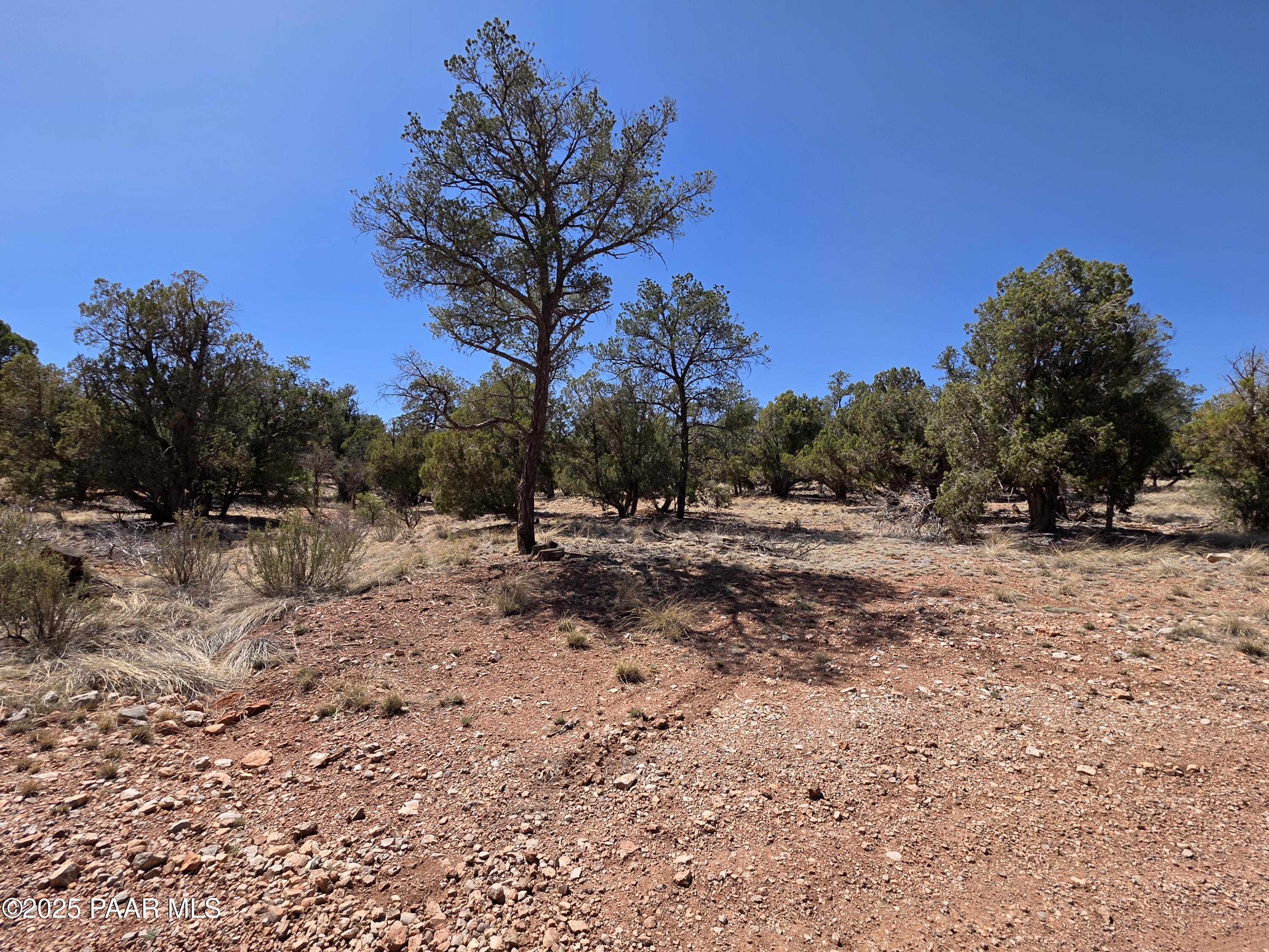0 Ataway Road Seligman, AZ 86337 - Photo 11 of 21 20250525_142232