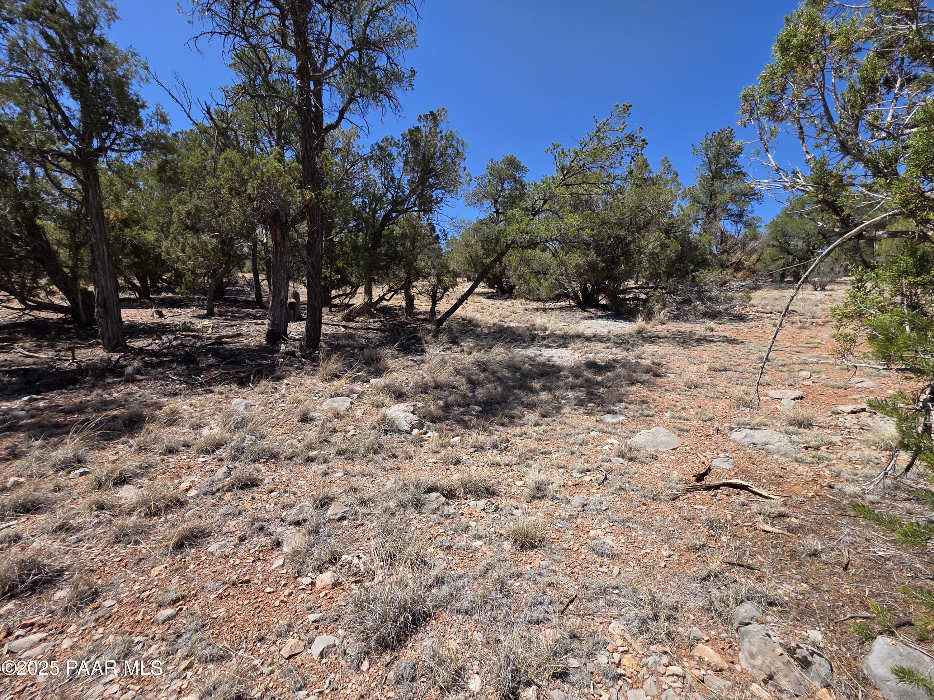 0 Ataway Road Seligman, AZ 86337 - Photo 12 of 21 20250525_142429
