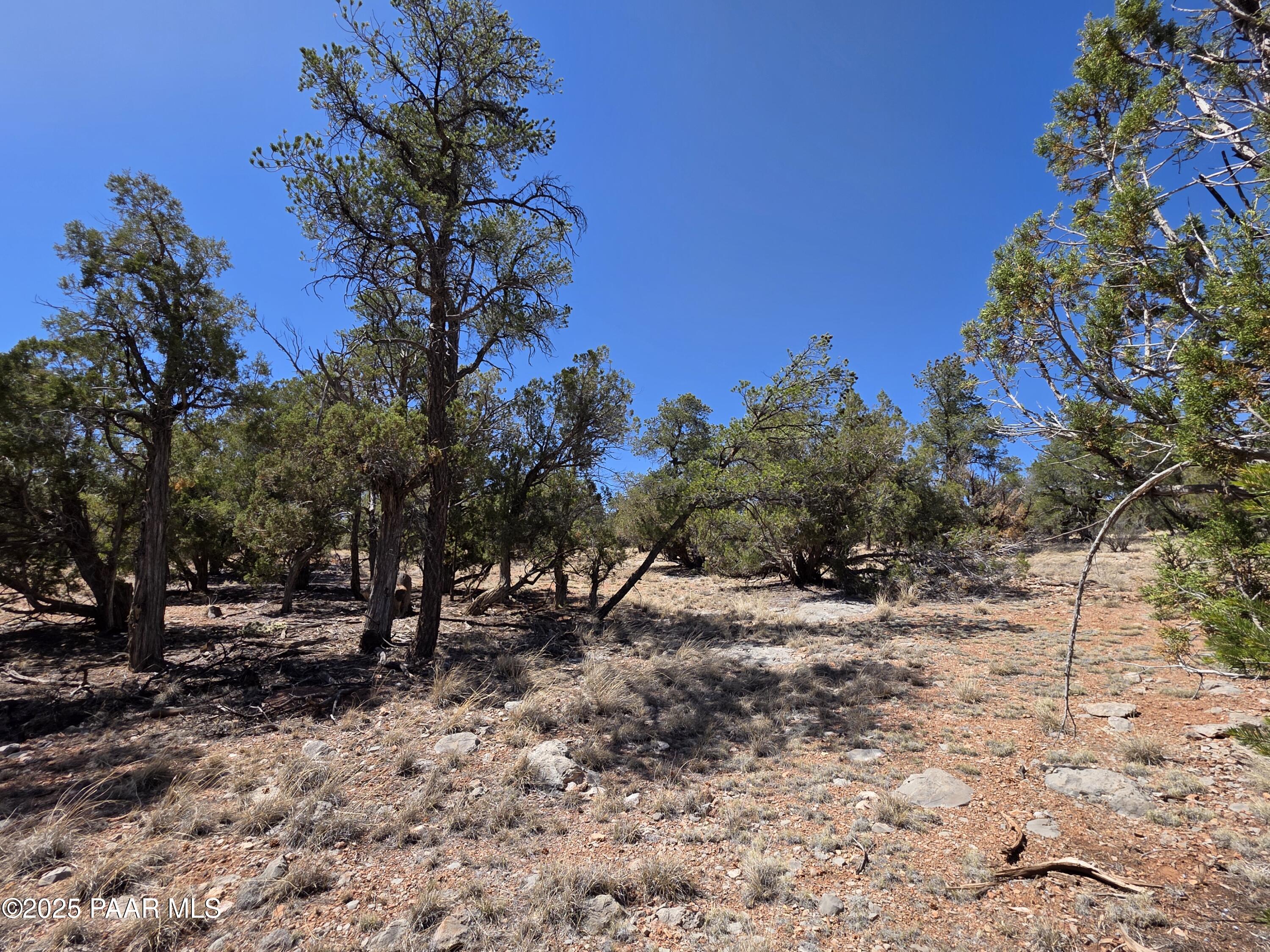 0 Ataway Road Seligman, AZ 86337 - Photo 13 of 21 20250525_142431