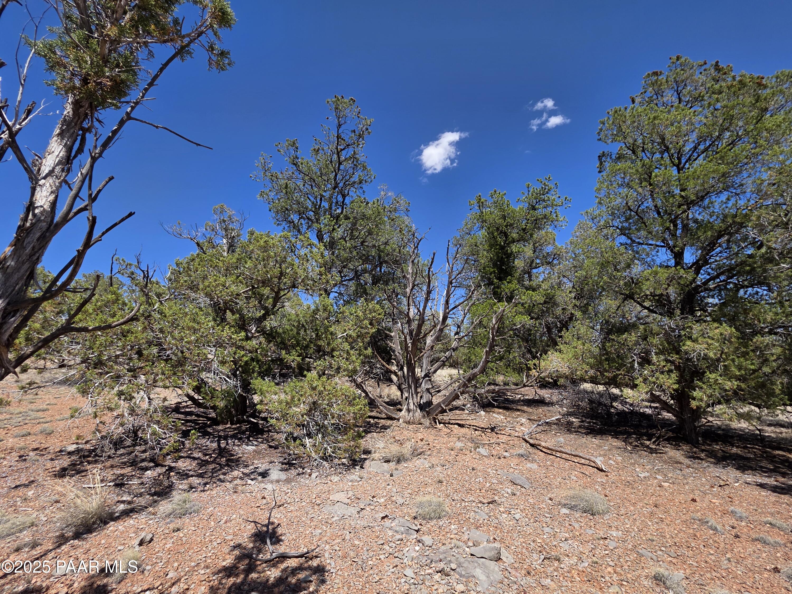 0 Ataway Road Seligman, AZ 86337 - Photo 15 of 21 20250525_142438